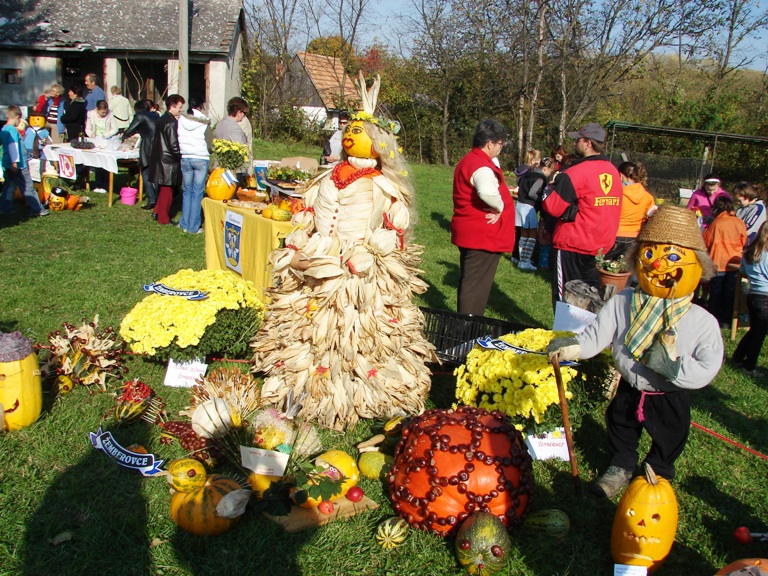 Fotogaléria ROK 2008: Projekt SUSEDIA- Devičany, 19.10.2008 (18) ROK 2008: Projekt SUSEDIA- Devičany, 19.10.2008
