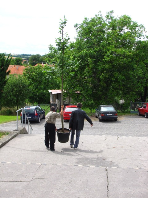 Fotogaléria *ROK 2011: Čestný občan Žemberoviec, 26.06.2011 (110) *ROK 2011: Čestný občan Žemberoviec, 26.06.2011